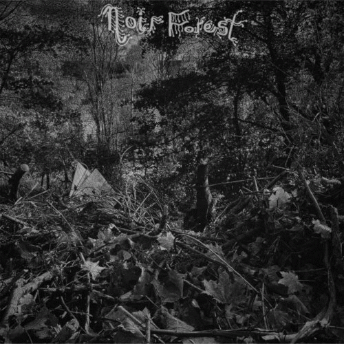 Noir Forest : Seedlings Lost to Shadowfall Noir Forest : Seedlings Lost to Shadowfall